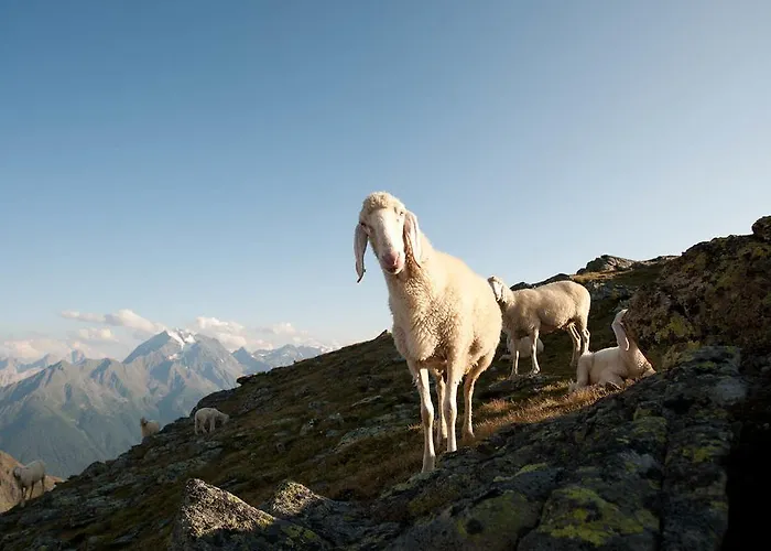 Michaela Neustift im Stubaital