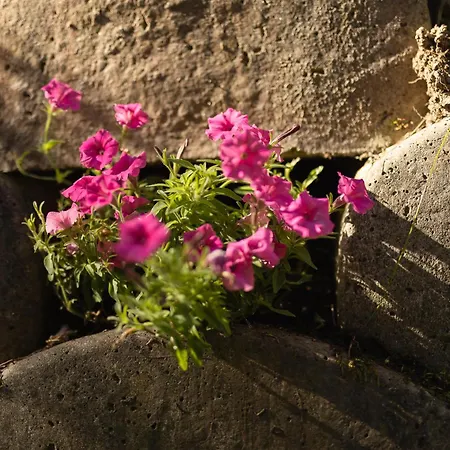 Michaela * Нойштифт-им-Штубайталь