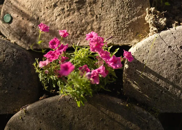 Michaela * Нойштифт-им-Штубайталь